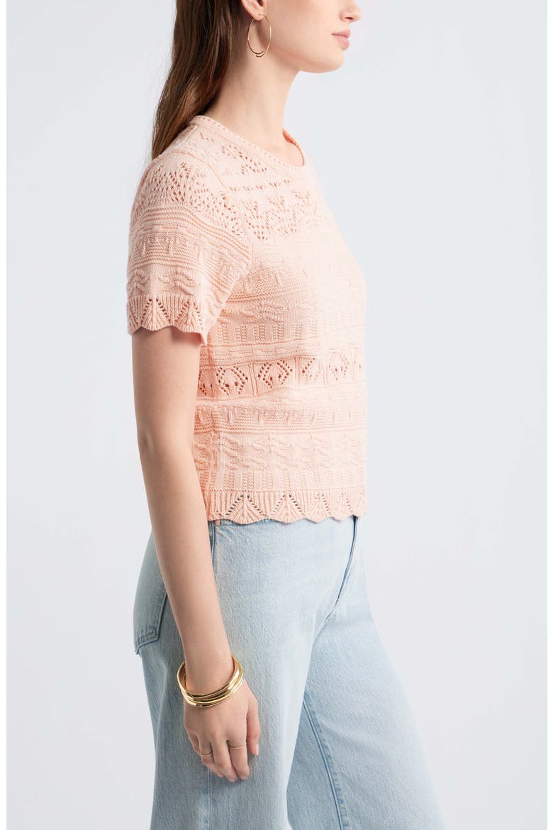 Pointelle Cotton Crewneck Sweater, Alternate, color, PINK TROPICS