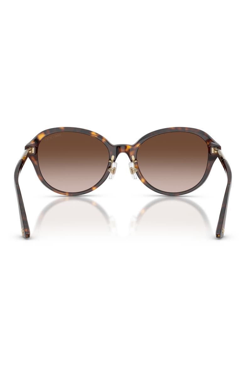 54mm Phantos Sunglasses, Alternate, color, HAVANA / GRADIENT BROWN