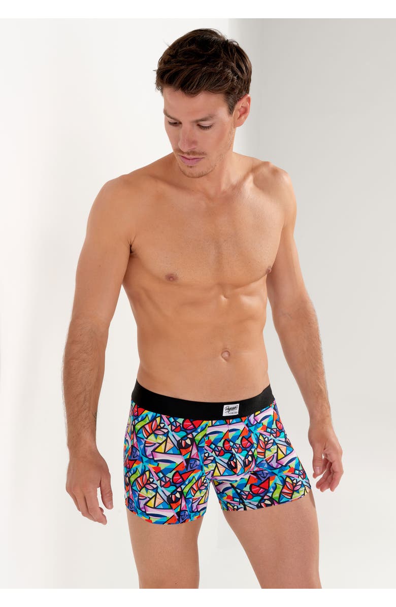 HOM Idylle Boxer Briefs, Alternate, color, Multico Print