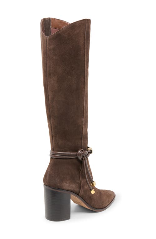 Dolce Vita Tarren Knee High Boot In Brown
