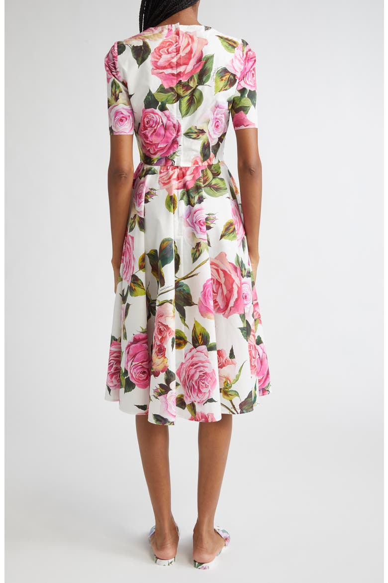 Rose Print Cotton Fit & Flare Dress, Alternate, color, ROSE ROSA FLORAL.BIANCO