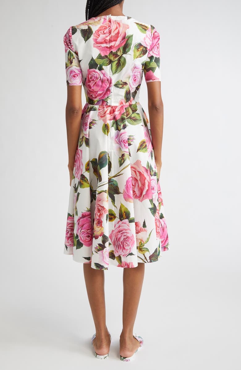 Dolce&Gabbana Rose Print Cotton Fit & Flare Dress, Alternate, color, Rose Rosa Floral.bianco