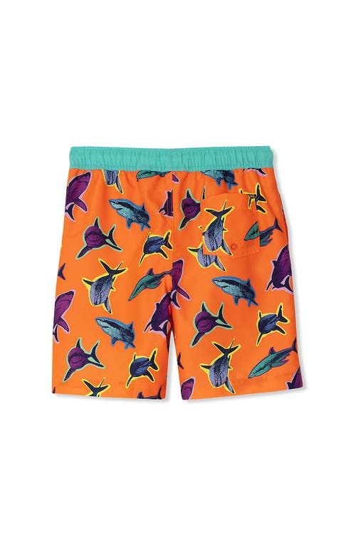 LANDS' END LANDS' END BOYS PRINT SWIM TRUNKS