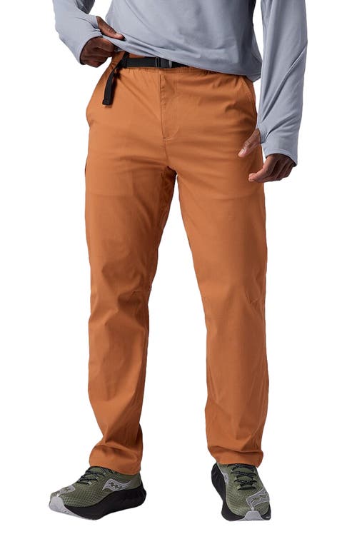 Backcountry Wasatch Ripstop Pant In Brown
