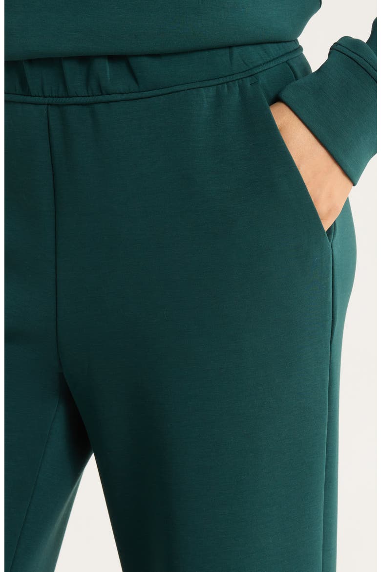 Dreamweave Relaxed Straight Leg Pants, Alternate, color, PONDEROSA PINE