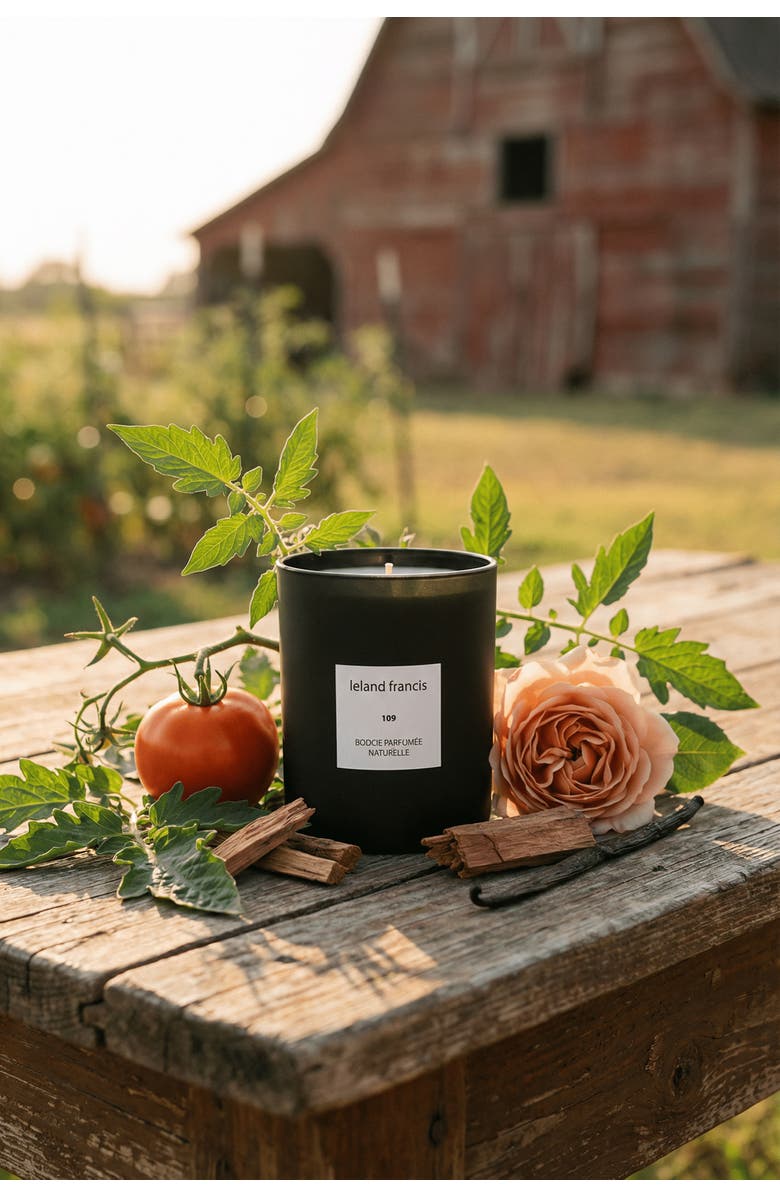 leland francis 109 - Bougie Parfumée Naturelle Candle, Alternate, color, NO COLOR