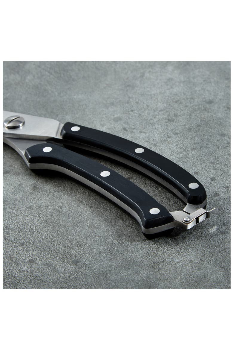 DiNA Gene Poultry Shears, Alternate, color, BLACK