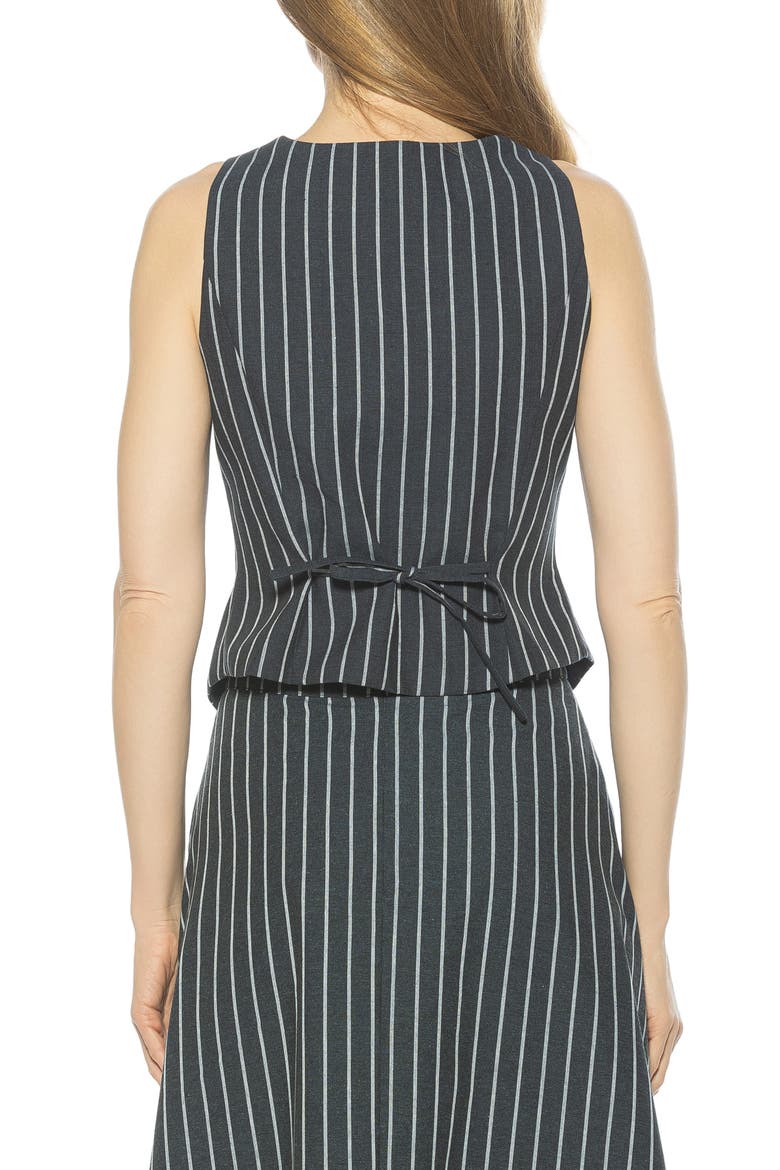 Liliana Button Front Vest, Alternate, color, NAVY STRIPE