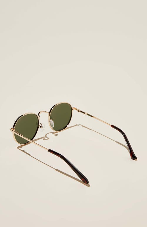 COTTON ON BELLBRAE POLARIZED SUNGLASSES