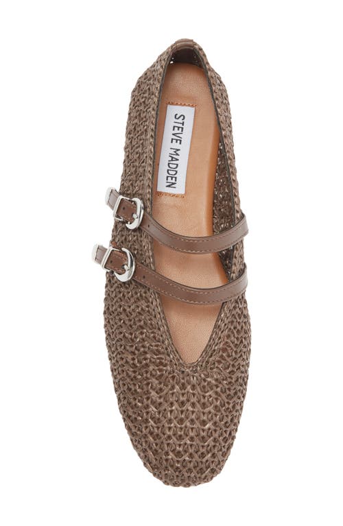 Steve Madden Laney Ballet Flat In Brown