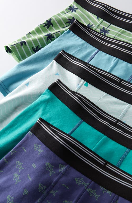 NORDSTROM NORDSTROM KIDS' ASSORTED 5-PACK BOXER BRIEFS