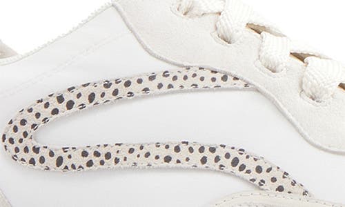 Frankie4 Axel Sneaker In Stone