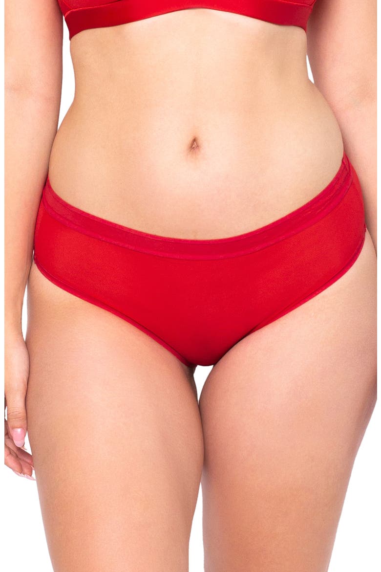 Sheer Mesh High Cut Briefs, Main, color, DRAMATIC ROSES