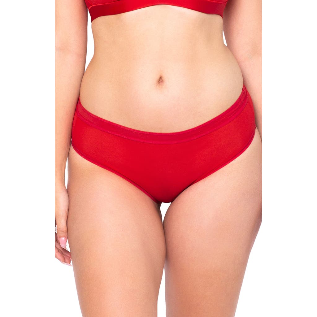 Curvy Couture Sheer Mesh High Cut Briefs In Dramatic Roses