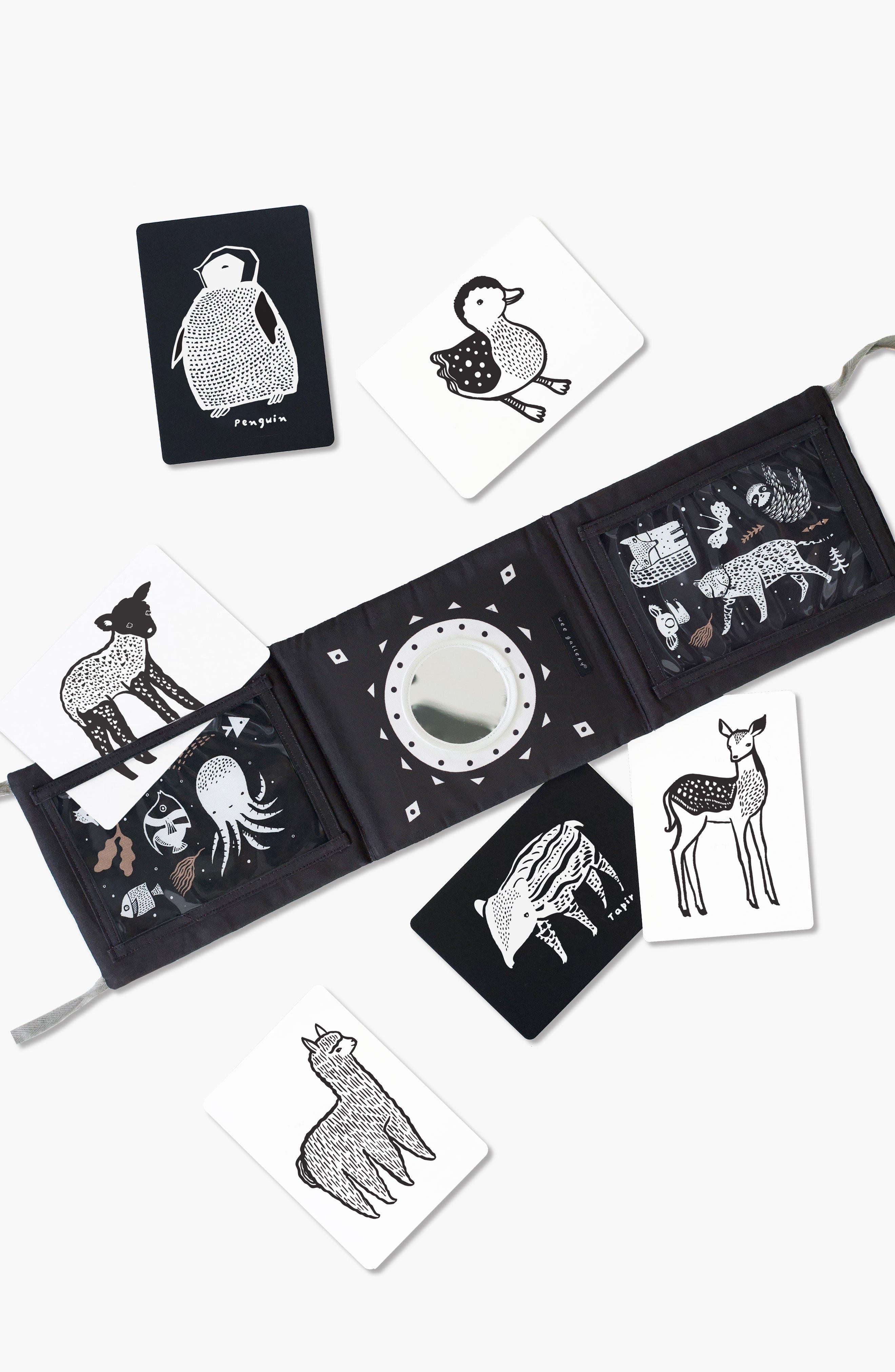 Baby Animals
