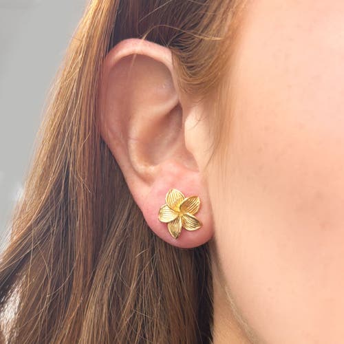 The Lovery Fine Jewelry Gold Tropical Flower Stud Earrings In Gold