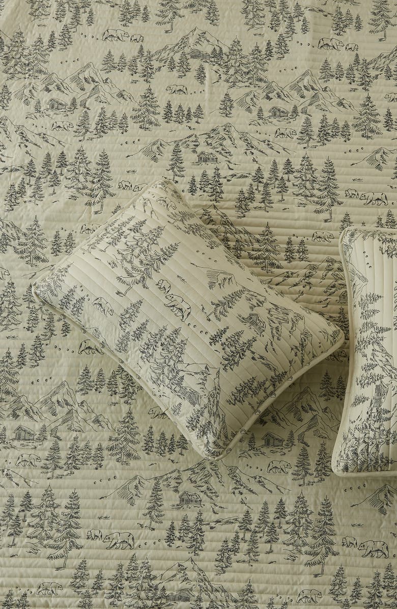 Woven & Weft Forest Lodge Themed 3-Piece Quilt Set, Alternate, color, Bear Mountain Scene