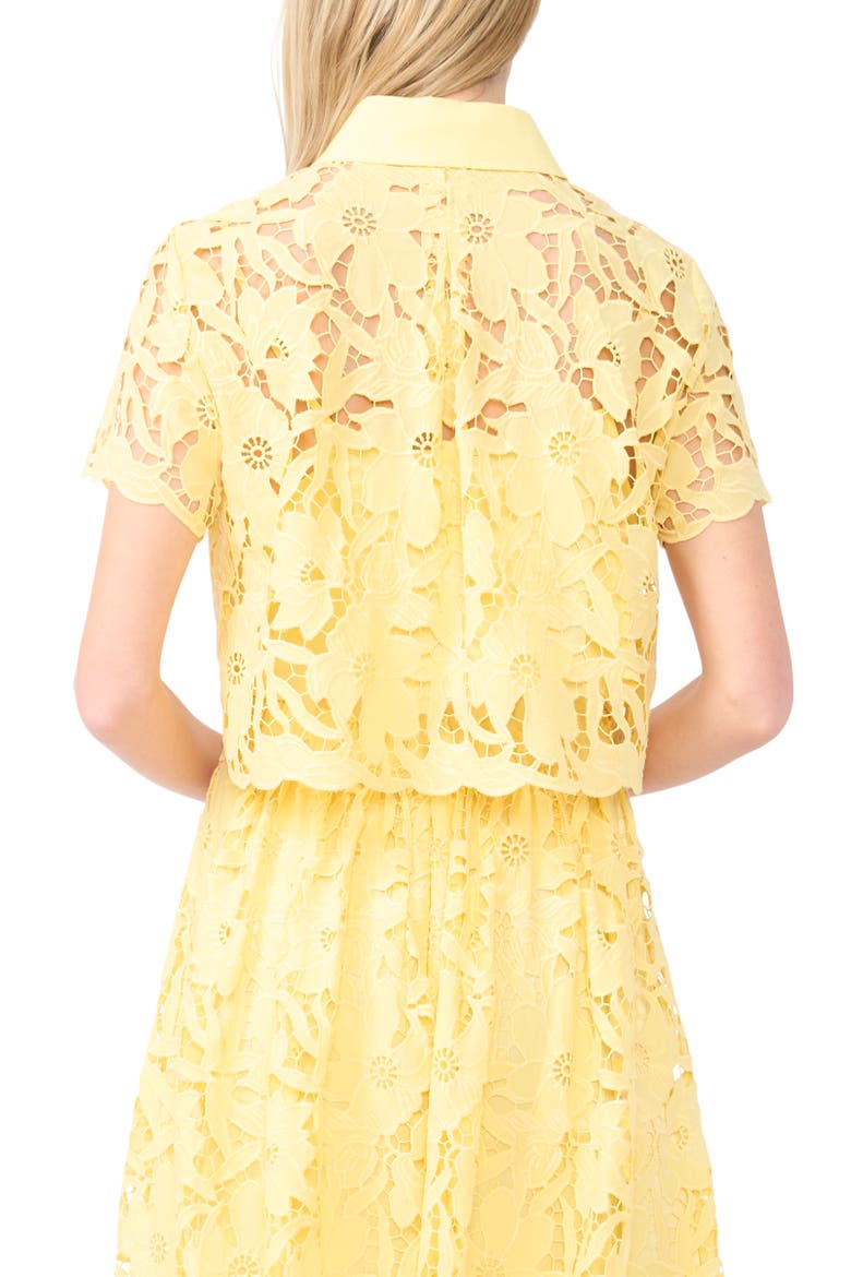 Micah Lace Embroidered Button-Up Top, Alternate, color, CREAMED CORN