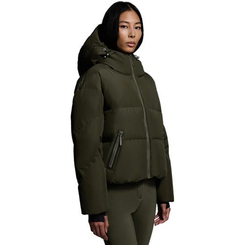 Cordova Meribel Jacket In Green