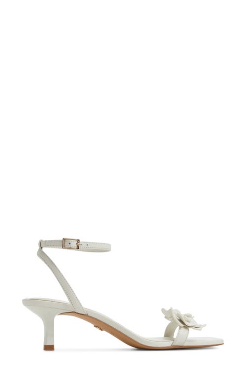Aldo Daisyrose Ankle Strap Kitten Heel Sandal