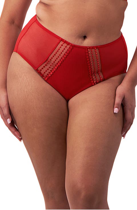 Matilda Full Figure Embellished Briefs (Plus)