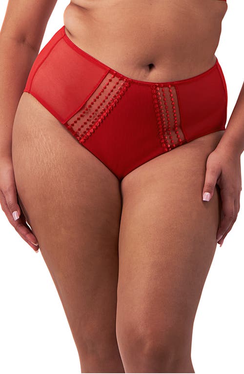 Elomi Matilda Full Figure Embellished Briefs in Haute Red 