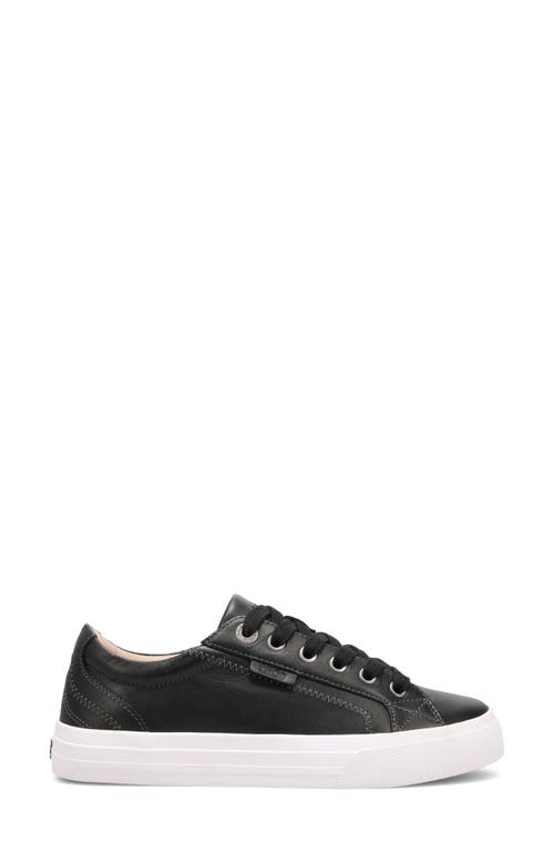 Taos Plim Soul Luxe Sneaker In Multi