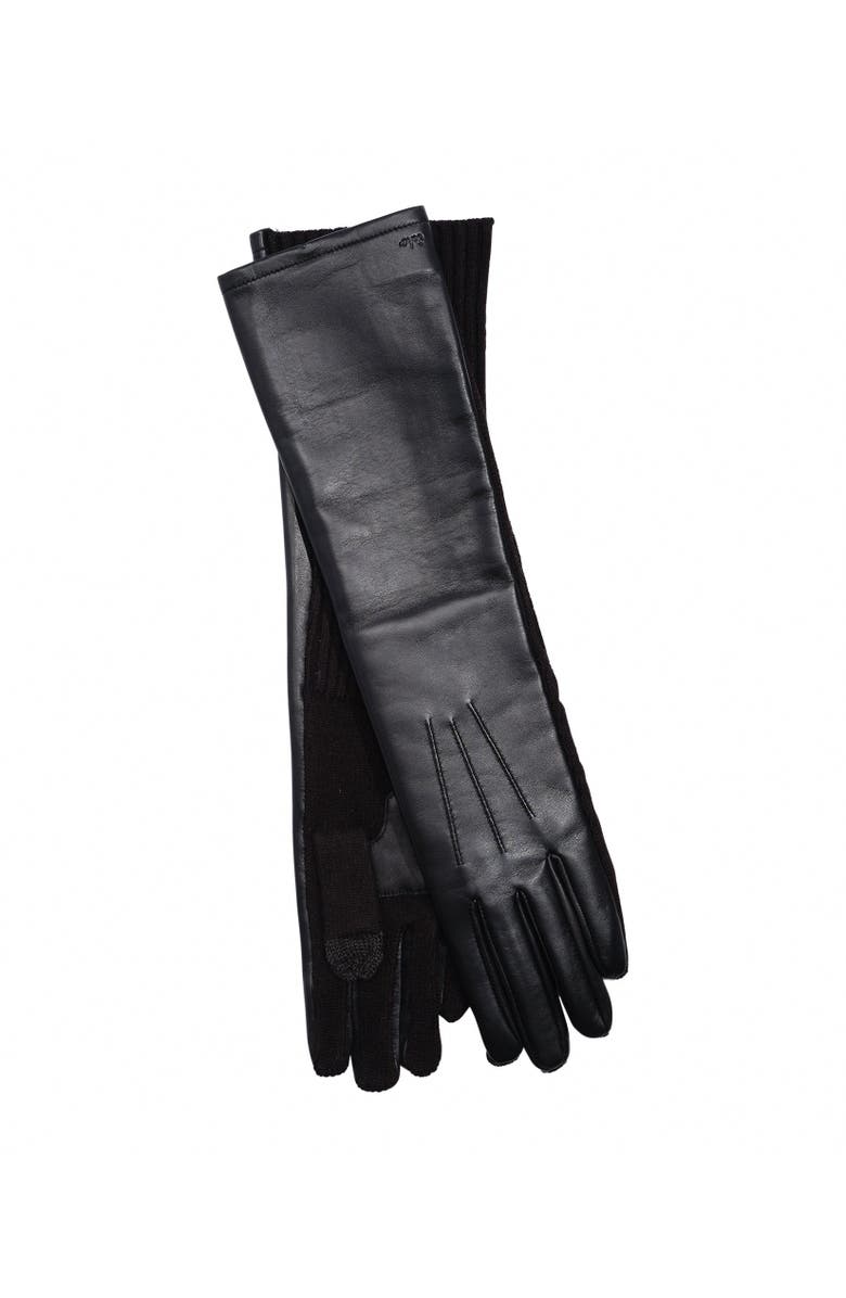 Echo Fully Long Leather Glove, Main, color, Black