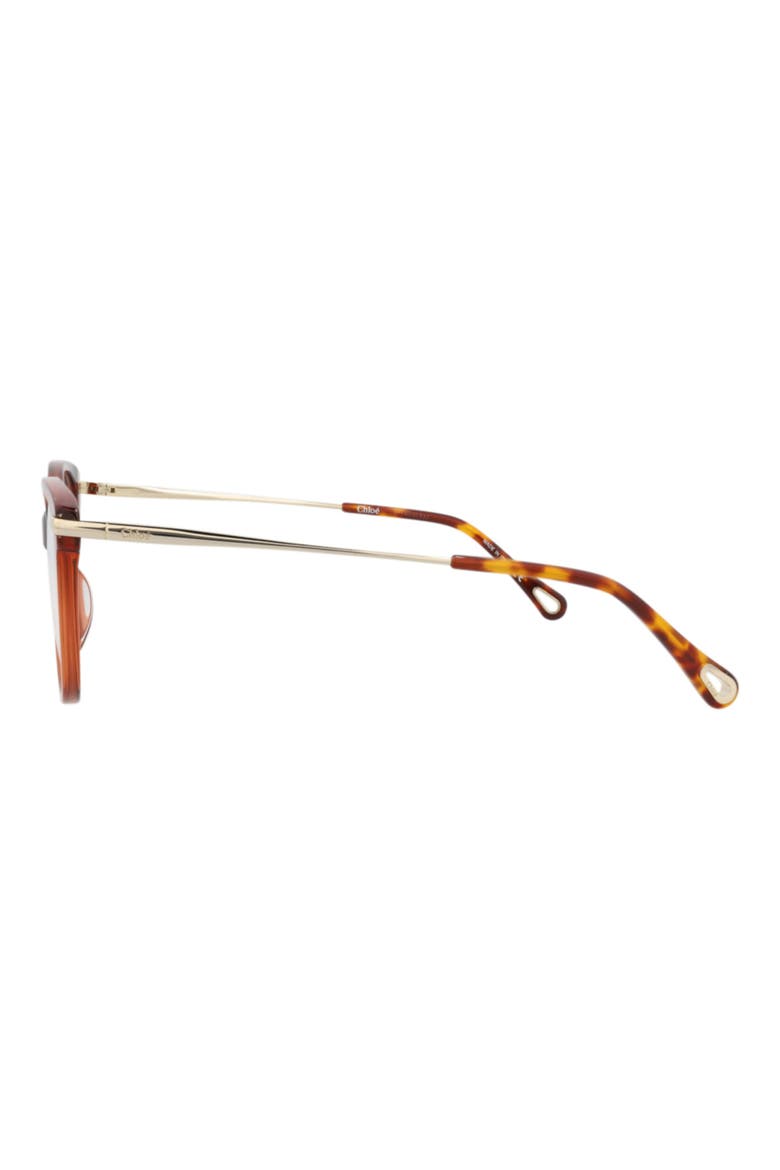 53mm Round Optical Frames, Alternate, color, BROWN GOLD TRANSPARENT