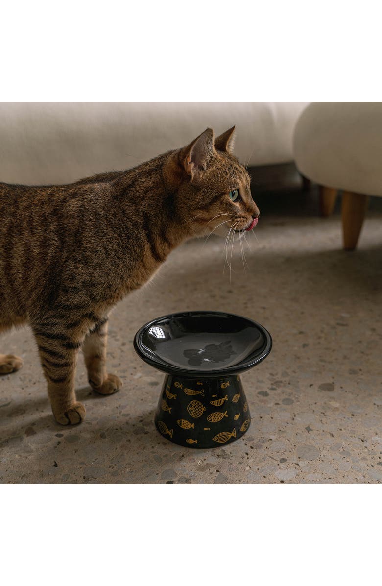 Dexypaws Flat Top Ceramic 7.5oz Cat Bowl, Alternate, color, Multicolored