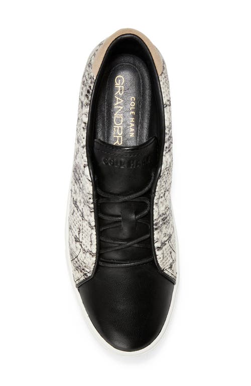 Cole Haan Grandprø Spectator Sneaker In Black/white Snake Print Suede