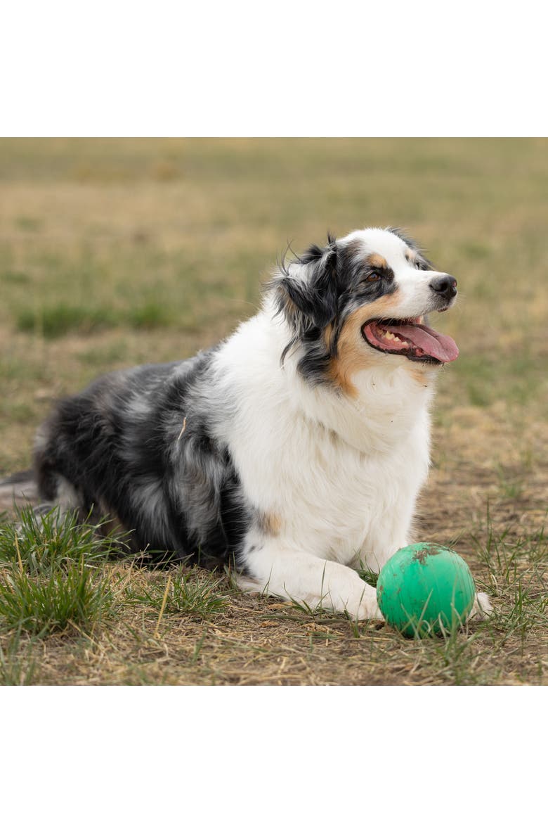 KoreFlex Ball, 4.75 Inches, Large, Green, Dog Toy, Alternate, color, Green