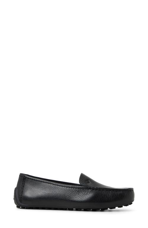 Sperry Port Driver Loafer In Black