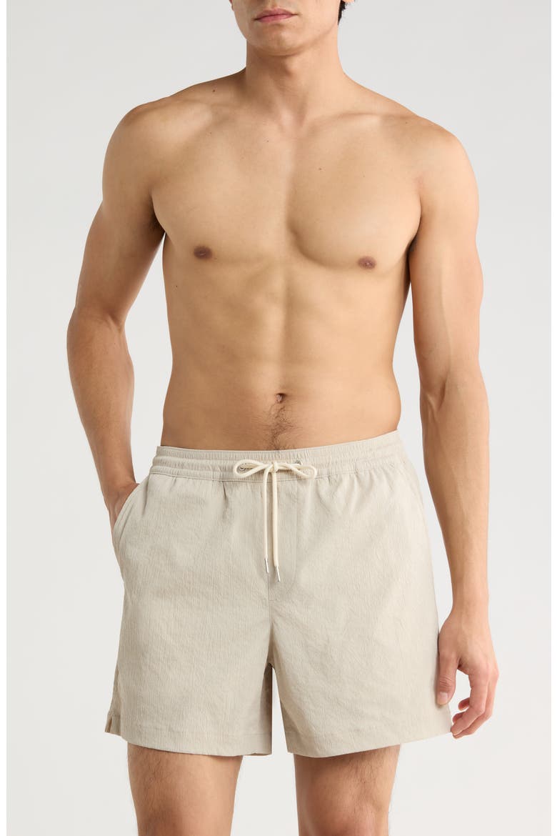 5-Inch Volley Swim Shorts, Main, color, BEIGE BIRCH