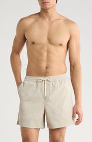 Nordstrom 5-Inch Volley Swim Shorts