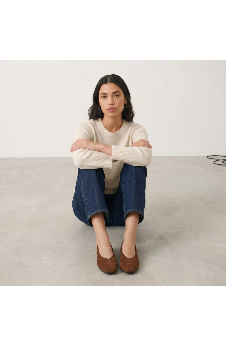 Amie Rafa Erika Suede Ballet Flats, Alternate, color, Tan