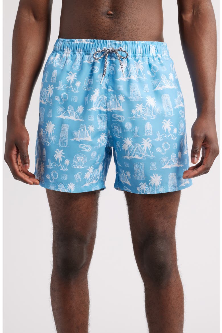 Printed Swim Trunks, Main, color, BLUE