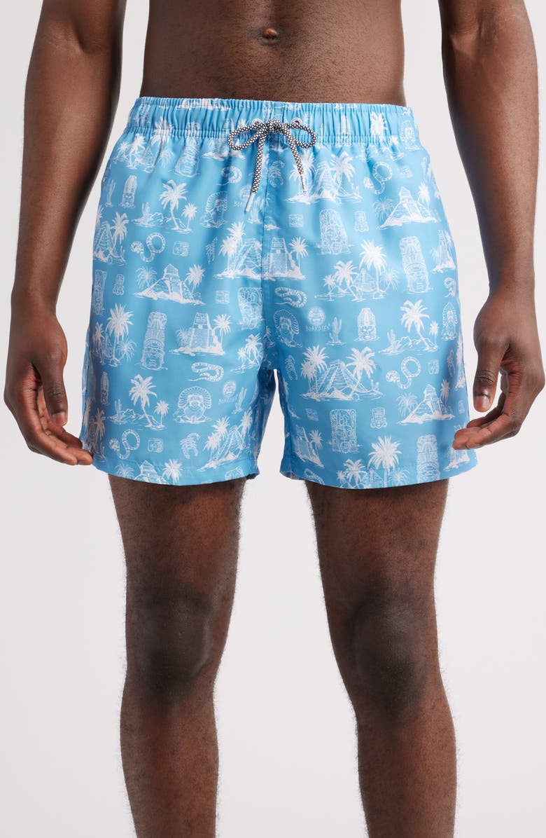 Boardies Printed Swim Trunks, Main, color, Blue