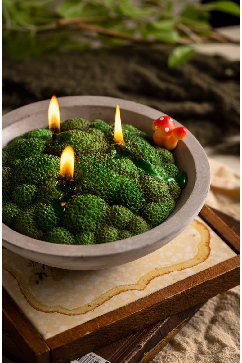 Forest Moss Candle Bowl, Alternate, color, Grass Moss