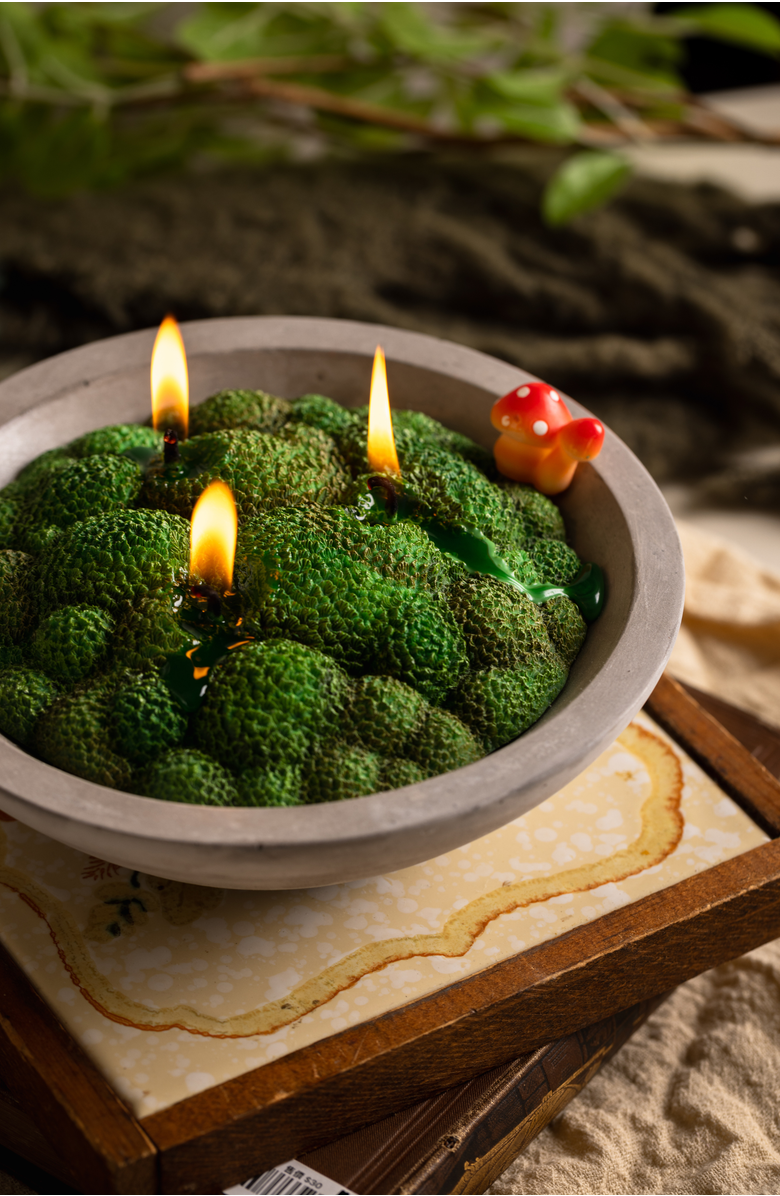 Southlake gifts Forest Moss Candle Bowl, Alternate, color, Grass Moss