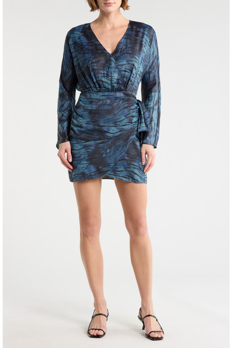 Isono Long Sleeve Dress, Main, color, TWILIGHT ZEBRA