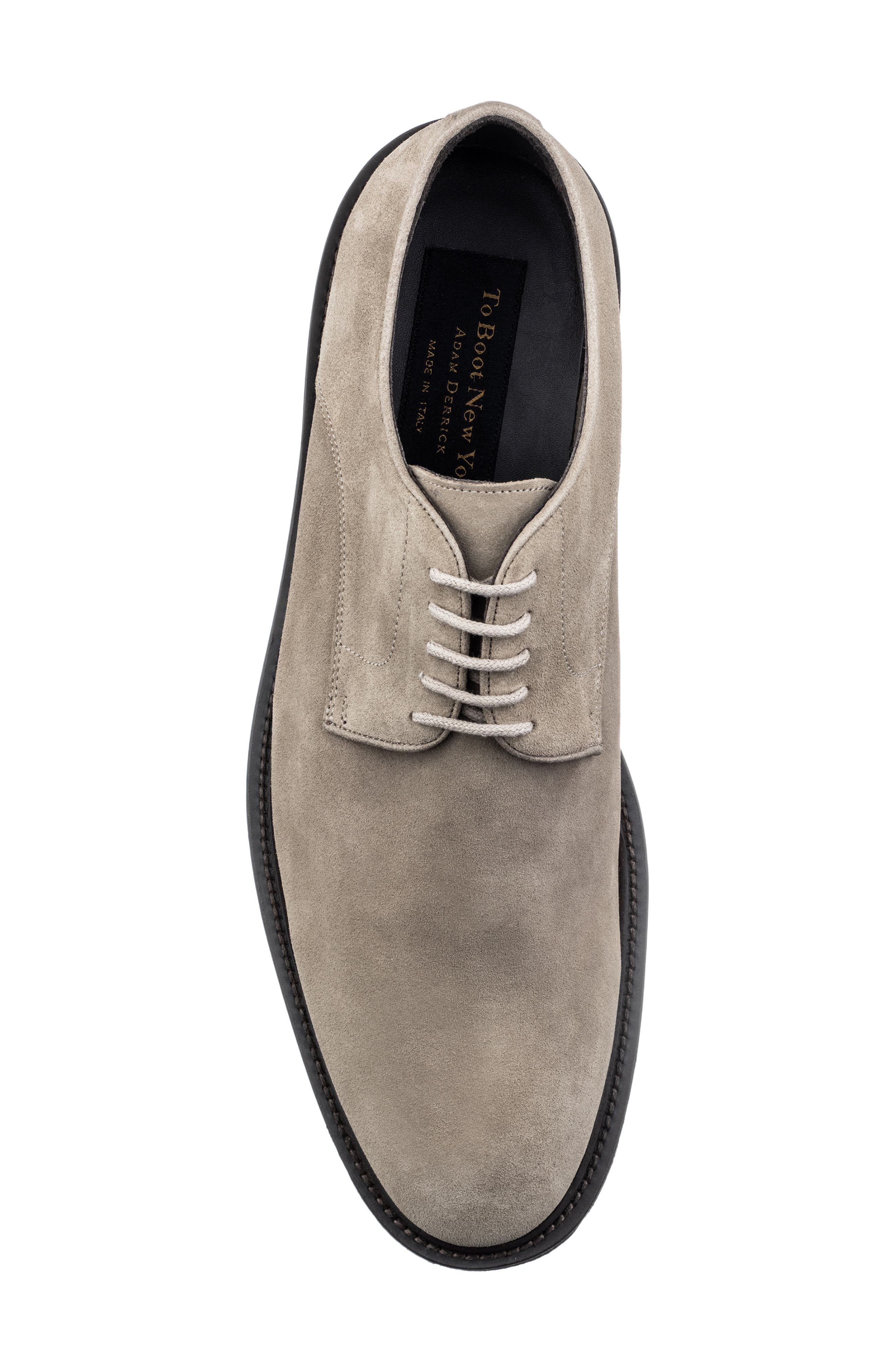 TO BOOT NEW YORK Moore Suede Plain Toe Derby, Alternate, color, 