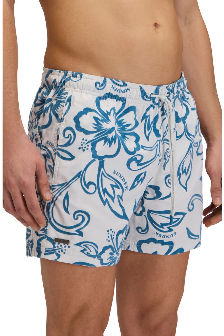 Print Swim Trunks, Alternate, color, GHOST