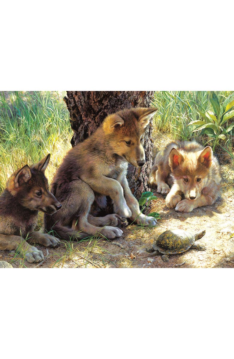 Sunsout The Shell Game 500 piece Jigsaw Puzzle for Adults, Alternate, color, Multicolor