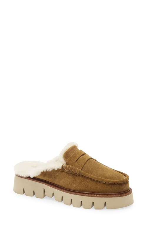 Pedro Garcia Savy Shearling-lined Platform Mules In Brown