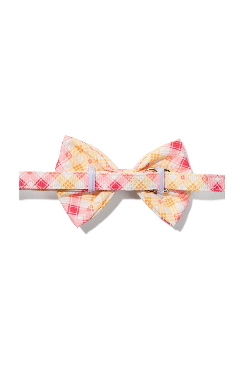 Lottie Bow Tie, Alternate, color, Lottie