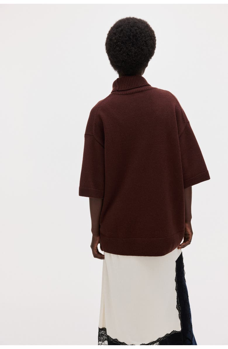 H&M Roll-neck Wool Jumper, Alternate, color, Dark Rust Brown