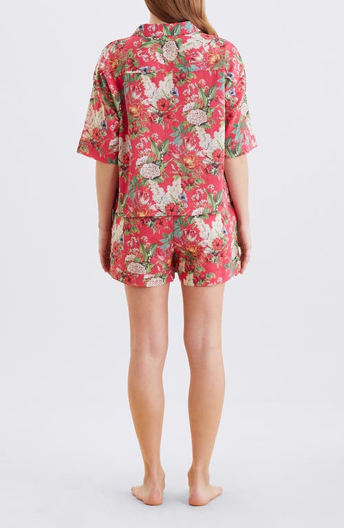 Papinelle Clara Cotton Voile Short Pajamas In Multi