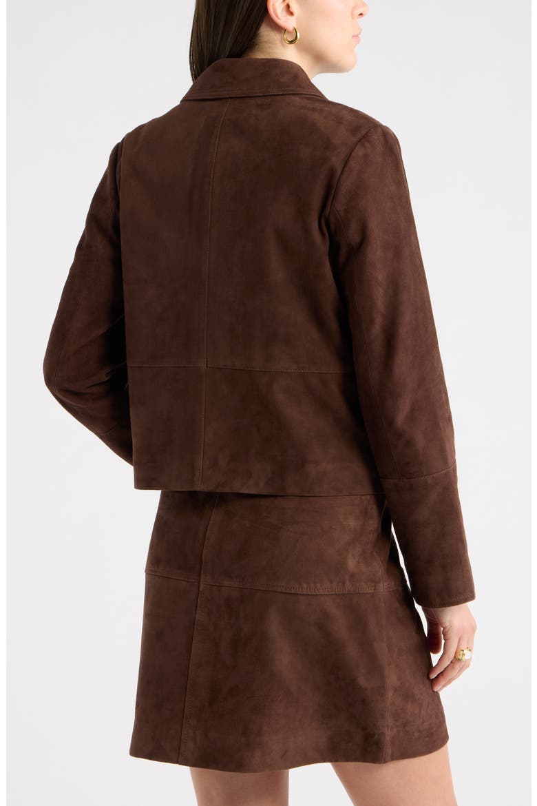 Suede Leather Jacket, Alternate, color, BROWN CHICORY