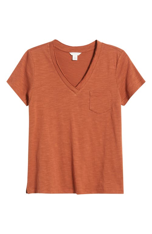Caslonr Caslon(r) Cotton & Modal V-neck T-shirt In Brown